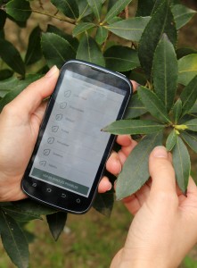 Arbolapp: aplicación móvil para identificar árboles - Notas Naturales