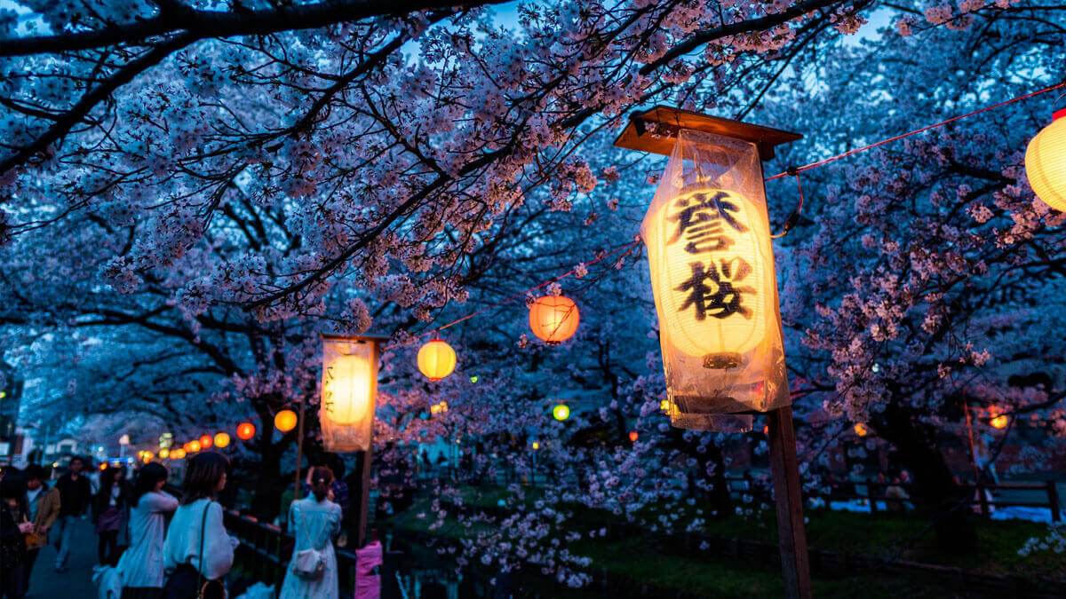 Hanami El Arte De Contemplar Las Flores En Japón Notas Naturales 7021